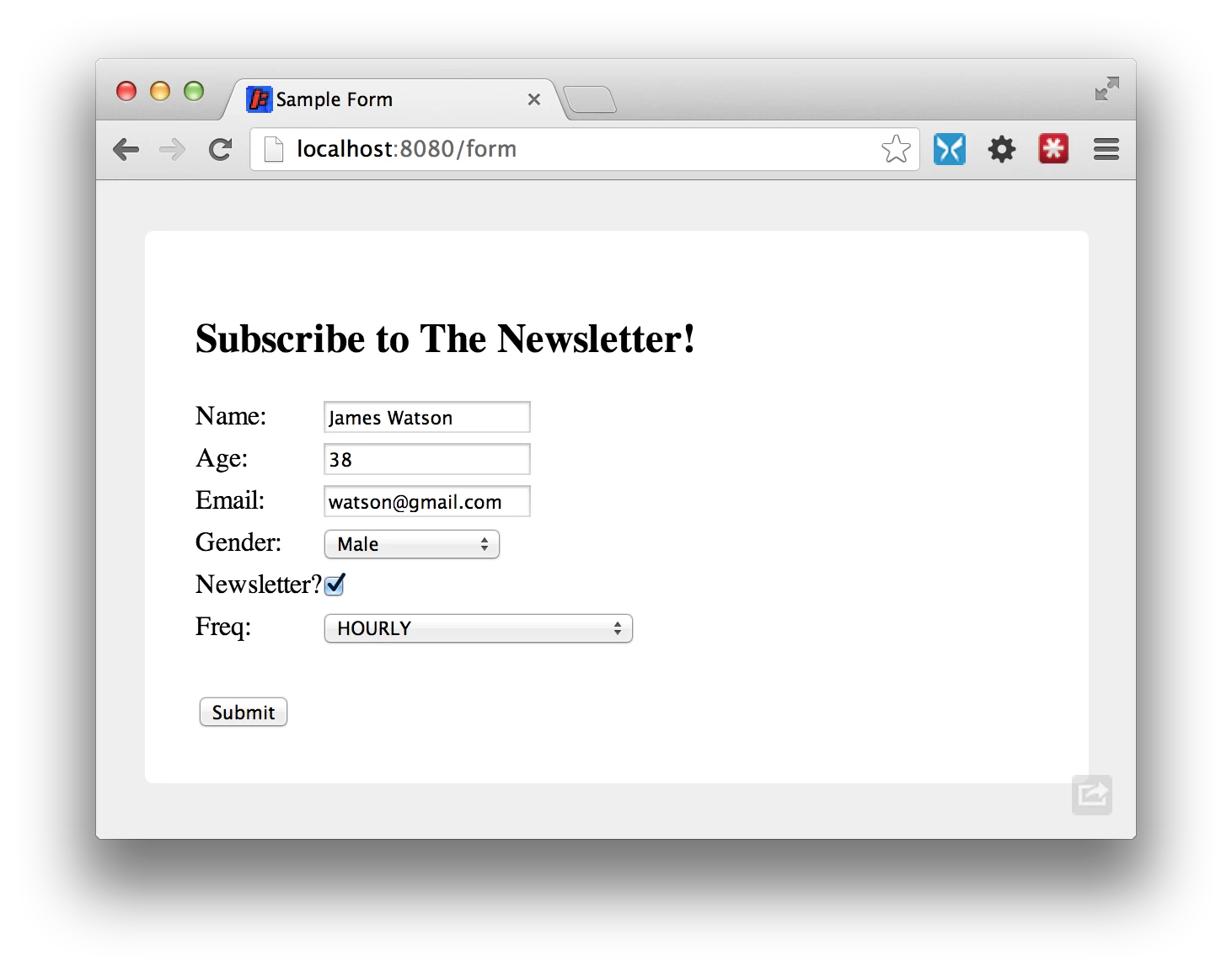 Spring MVC form screenshot
