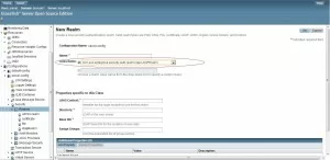 Create new LDAP Realm