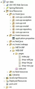 spring-data-jpa-project-structure