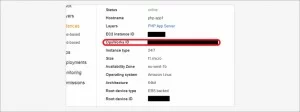 Instance ID
