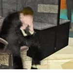The employee