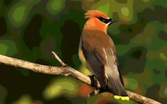 effect_color_depth_32
