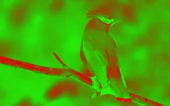 effect_color_green