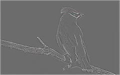 effect_emboss