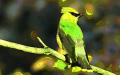 effect_hue