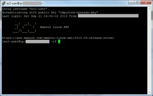 Logged into Linux instance via SSH