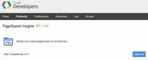 google-pagespeed-insights