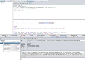 zap_xss_vulnerable1