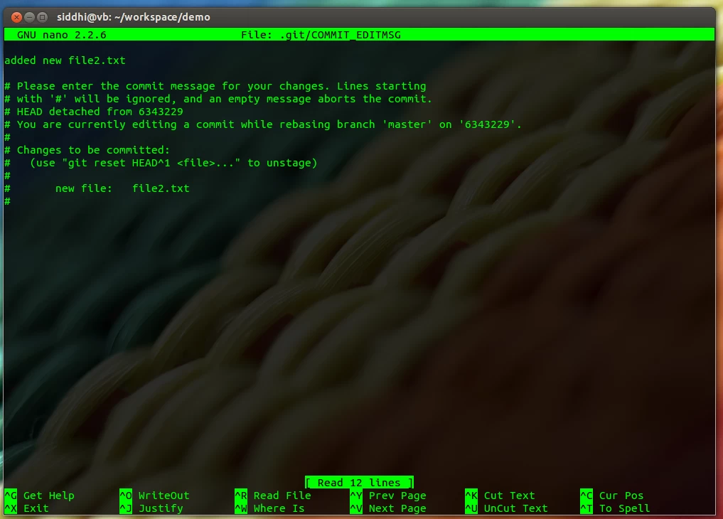 png;base64999bd49b0709e191