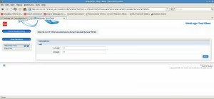 WebLogic Test Client