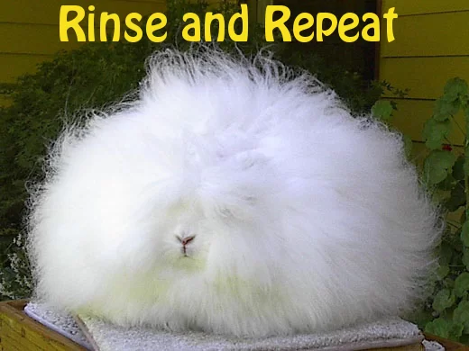RinseAndRepeat