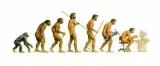 evolution