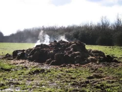 SteamingPile