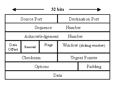 TCP Header Format