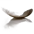 lightweight-feather
