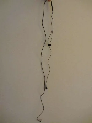 Figure 1: A headset of earbuds and jack.