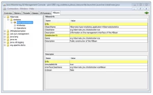Hibernate MBean in JConsole