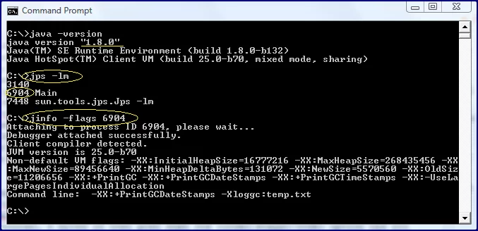 jinfoFlagsWorksOnWindowsWithJavaSE8-annotated