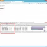 Screen Shot: Firebug Net Tab