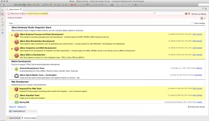 JBoss Integration and SOA Development.