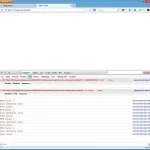 Screen Shot: Firebug Console Tab Result