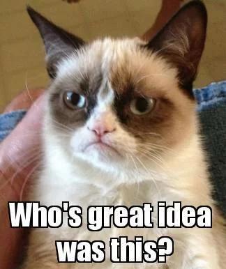 GrumpyCat