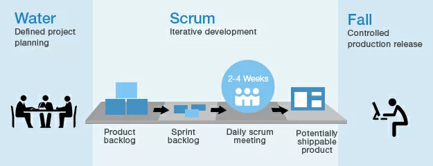 scrumfall