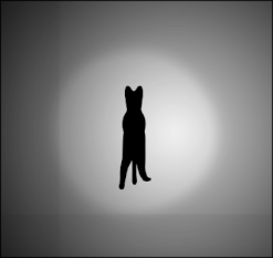 spinning kitty 250px