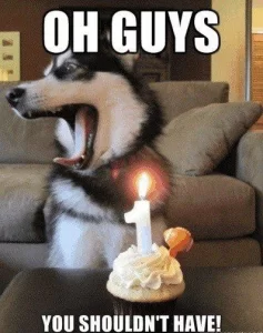 Java8birthday