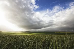 clouds