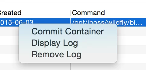 jbds-docker-tools-display-log