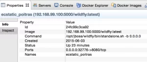 jbds-docker-tools-properties-info