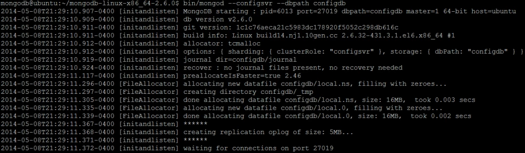 Picture 1. Config server has been started successfully.