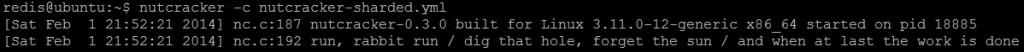 Picture 2. Twemproxy (nutcracker) has been started successfully.
