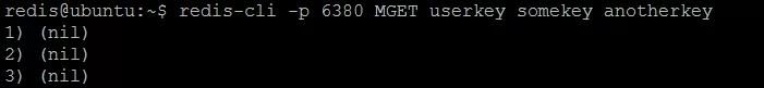 Picture 4. Redis #1 has no keys stored.