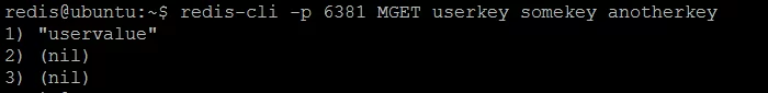Picture 5. Redis #2 has only one key userkey stored.