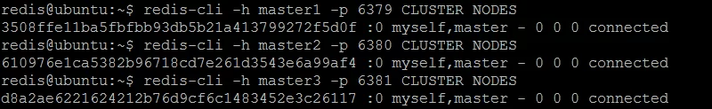Picture 5. Each Redis master node sees only itself but not others.