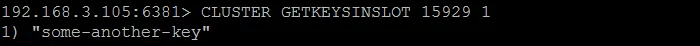 Picture 13. Verifying that hash slot 15929 contains key some-another-key.
