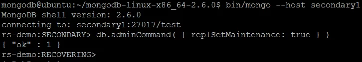 05.REPLSETMAINTENANCE