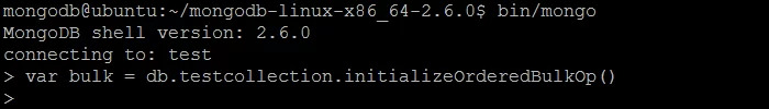 07.DB.INITIALIZEORDEREDBULKOP