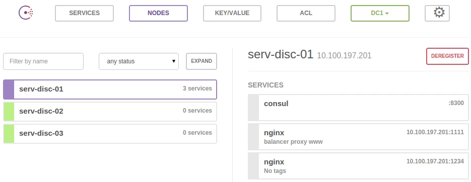 consul-nodes