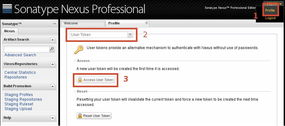 Generating API key in Nexus