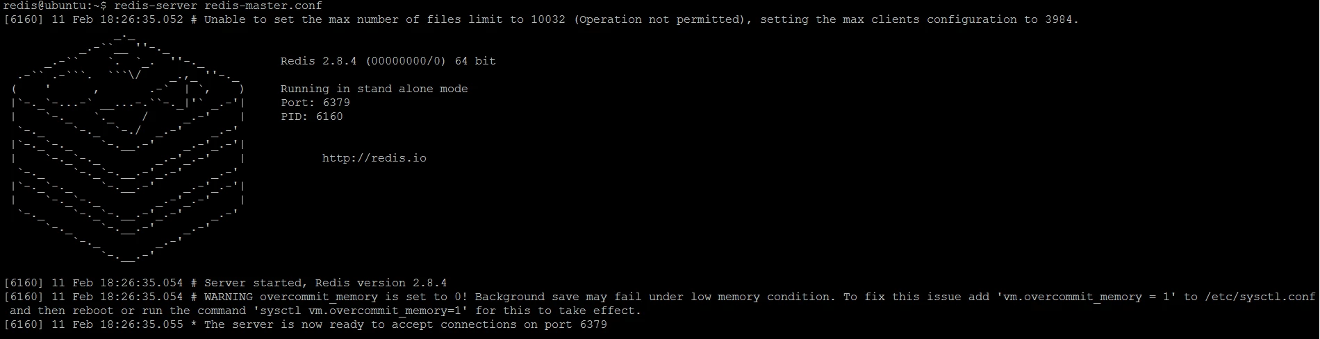 Figure 2. Redis master is started