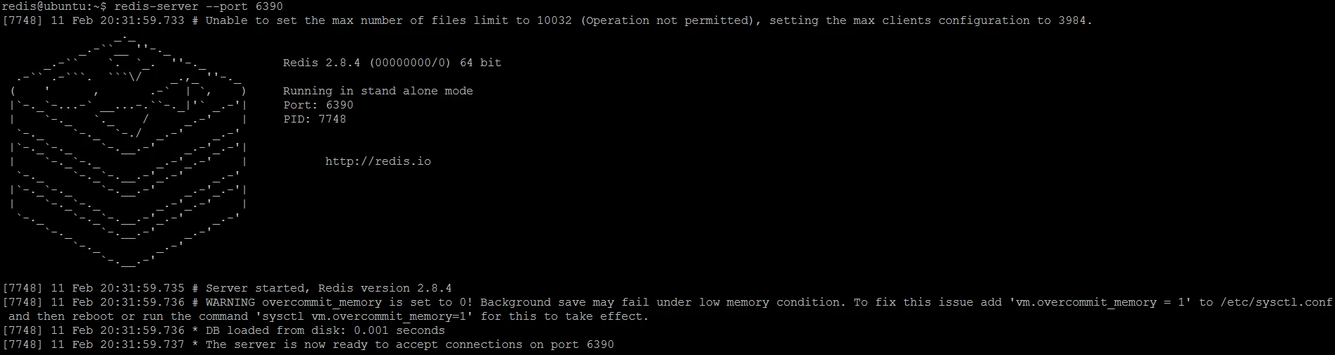 Figure 9. Running standalone Redis instance on port 6390