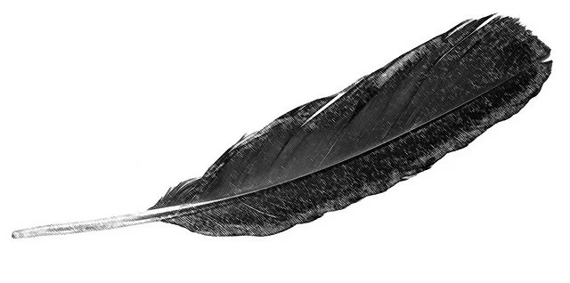 Published by wplynn under CC-BY-ND 2.0
