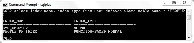 queryingIndexesOnColumnAndLiteralStringFunctional