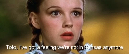 toto