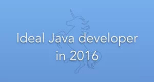 ideal-java-developer-2016