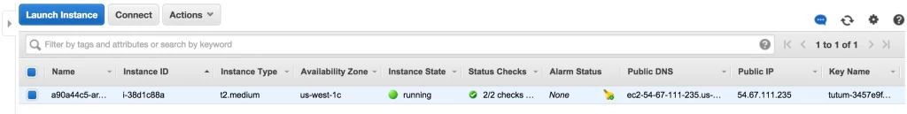 docker-tutum-aws-console-1024x129