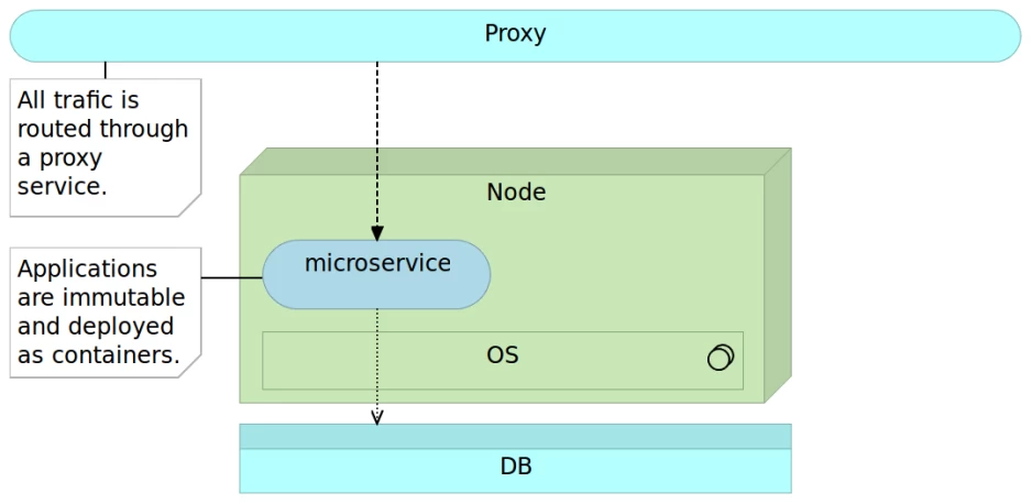 Immutable microservice deployed as a container